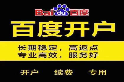 百度SEM代运营案例分析：助力企业品牌腾飞