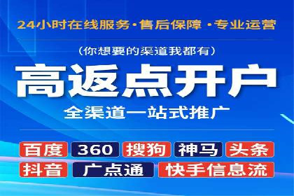 百度推广案例：精准广告投放策略解析